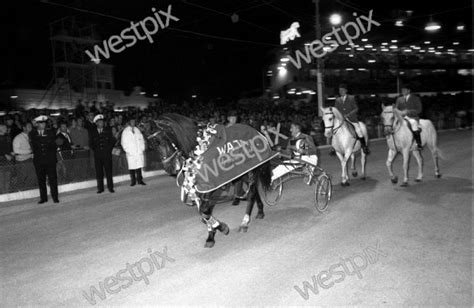 Pacer Mount Eden Taken 70s 80s Westpix