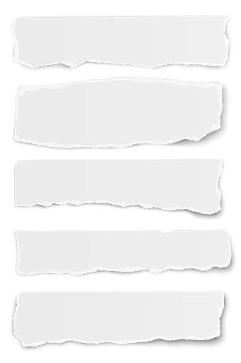 Collection Of Vector Oblong Torn Paper Tears Isolated On White