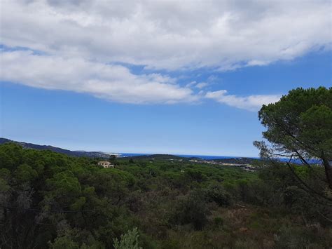 Proyectos Ecol Gicos Espa A Ay Danos En El Bosque Con Agricultura