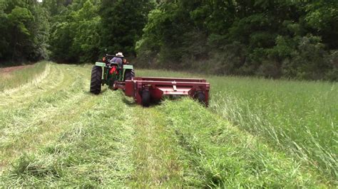 Hesston 1110 Cutting Hay 06 06 2016 Youtube