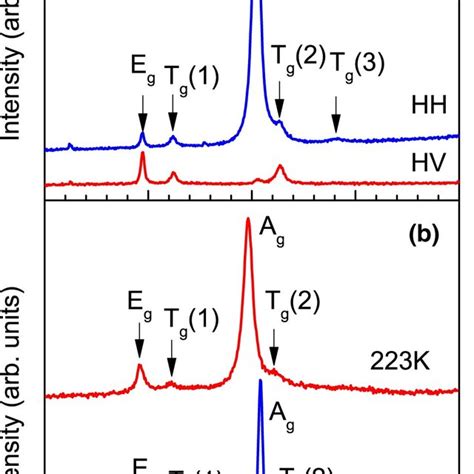 Phonon Mode Assignment In The Representative Raman Spectra Of Cos A