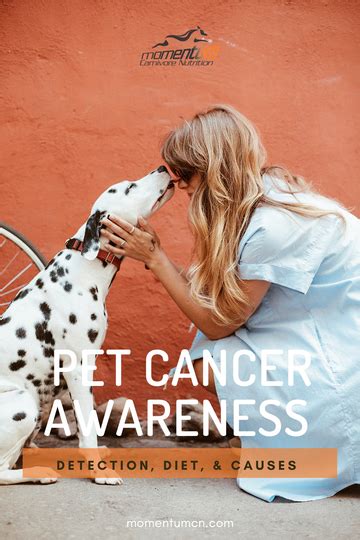 National Pet Cancer Awareness Month Momentumcn