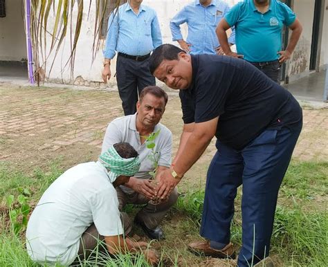 Saplings Planted Under Ek Ped Maa Ke Naam Campaign India Education