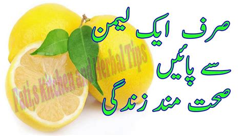 Lemon Kay Fawaid Youtube