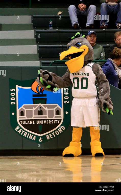 Mascot of tulane university hi-res stock photography and images - Alamy