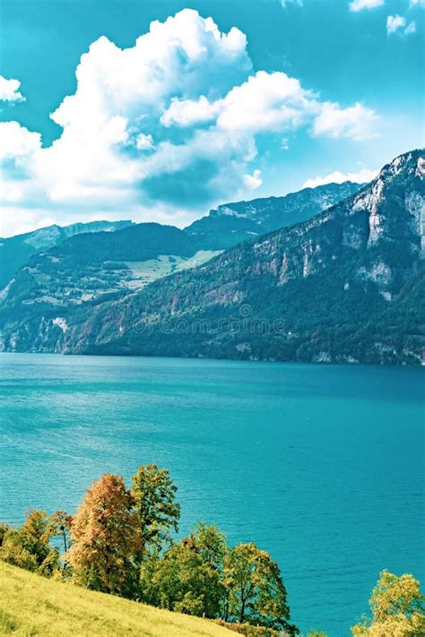 Lake Walensee in Switzerland Stock Photo - Image of alpine, natural: 128006610