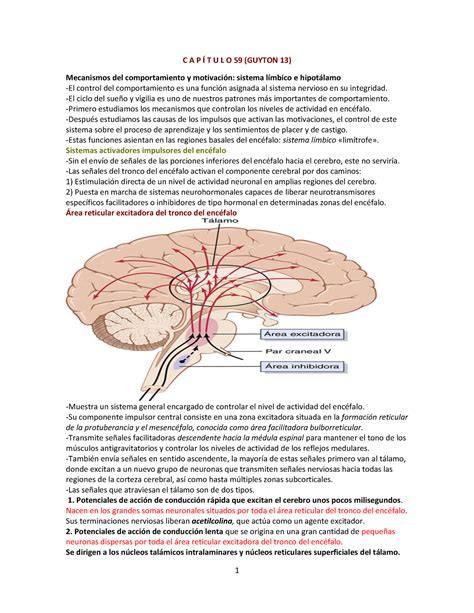 Lectura A Sistema Limbico C A P T U L O Guyton