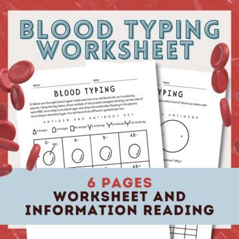 Blood Typing Worksheet By Mrs Shirley S Shop TPT