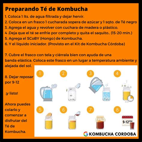 C Mo Hacer Kombucha Maripo