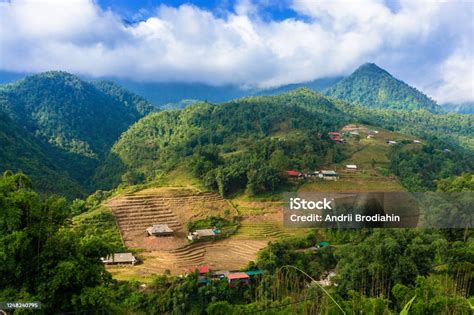 Pemandangan Indah Sawah Bertingkat Dan Gunung Di Awan Desa Cat Cat