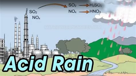 Mưa acid là gì Hậu quả của mưa acid đến môi trường sống Máy Rửa Xe