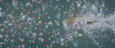 The Meg Review: It's A Giant Shark Movie - GameSpot