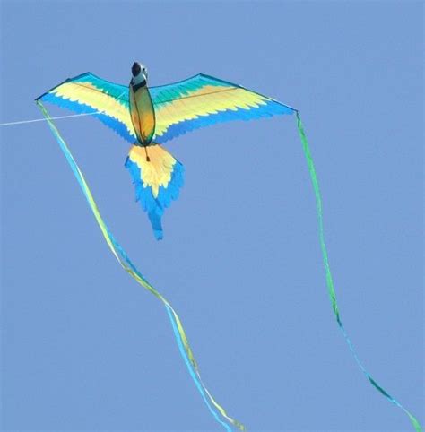 A Very Tasteful Bird Kite Soars Aided By Long Tip Tail Ribbons Its