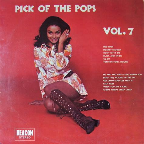 Pick Of The Pops Hit Covers The Uks Budget Cover Version Lps