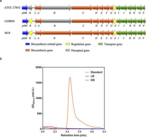 Frontiers The Regulator Pltz Regulates A Putative Abc Transporter