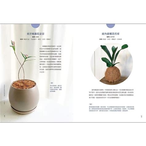 我的第一堂植栽組盆美學課：用最好養的「觀葉×多肉×苔蘚」植物，設計出58種改變空間氛圍的療癒系盆景－金石堂