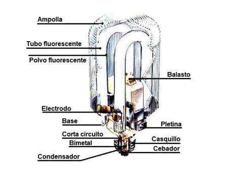 Qué son las Lámparas Fluorescentes Electricasas