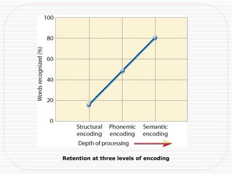 Ppt Memory Encoding Storage And Retrieval Powerpoint Presentation