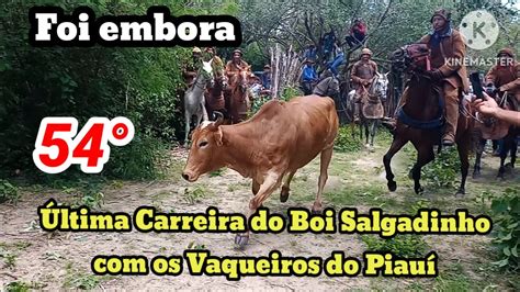 Carreira Do Boi Salgadinho Os Vaqueiros Do Piau Youtube