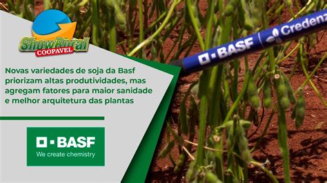 Novas Variedades Da De Soja Da Basf Priorizam Altas Produtividades Mas