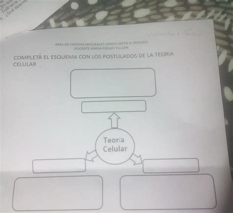 Completa El Esquema Con Los Postulados De La Teor A Celular Brainly Lat