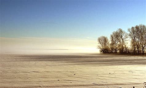 Photo Contest: Bleak Snow Landscape | Pixoto