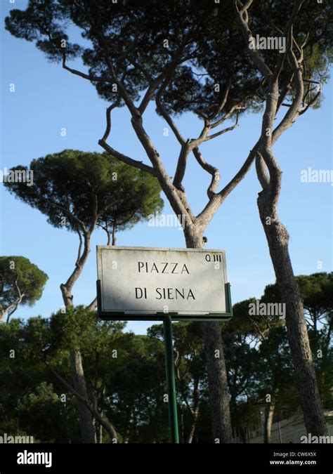 Villa Borghese Pine Trees Hi Res Stock Photography And Images Alamy