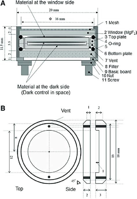 Diagram of the base of exposure unit. Crosssection of exposure unit (A ...