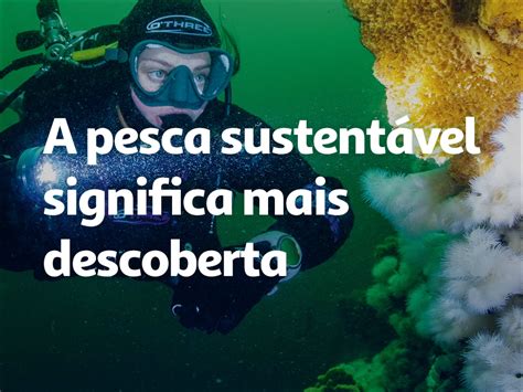 Pesca Sustent Vel Um Compromisso Auchan