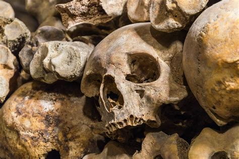 Paris Catacombs History Facts And Tips For Visiting