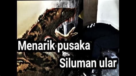 Penarikan Pusaka Ular Bluwuk YouTube