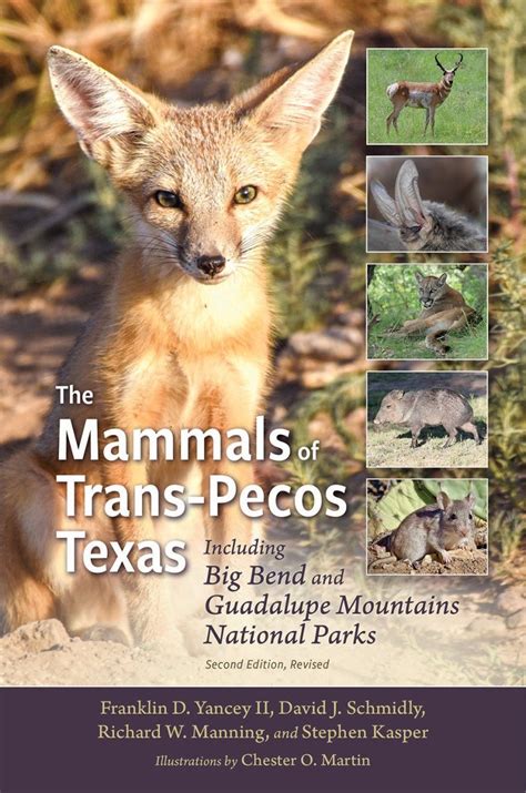 The Mammals Of Trans Pecos Texas Including Big Bend And Guadalupe