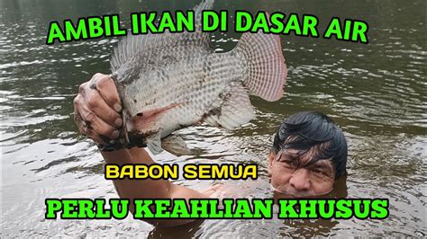 Jala Ikan Di Situ Lengkong Panjalu Ikannya Babon Semua Youtube