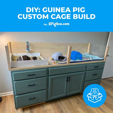 DIY: Custom Guinea Pig Cage Build – GPigBox