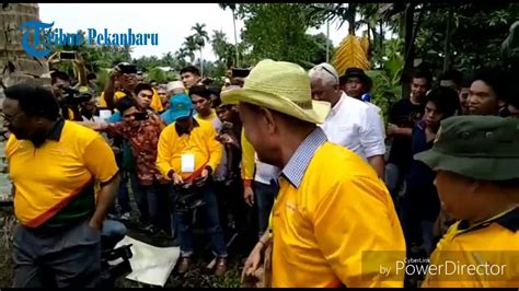 Kocaknya Aksi Bule Asal Belanda Ikut Panen Kelapa Lihat Aksinya Youtube