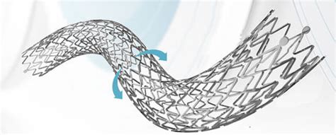 Peripheral Stent Facile Pp Advance Amg International Nitinol