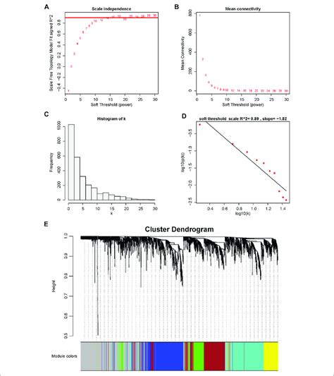 Determination Of Soft Thresholding Power In Wgcna A Analysis Of