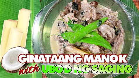 Pinakamasarap Na Ginataang Manok With Ubod Ng Saging Main Dish Cely