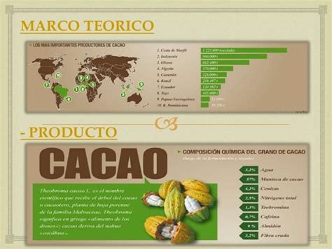 Exportacion Del Cacao En Ecuador