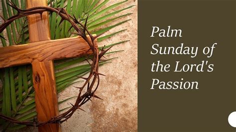 St John The Baptist Palm Sunday Of The Lords Passion 11 15 Am Mass