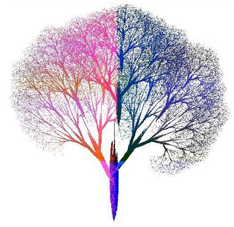 Fractal geometry of coastline and branch | Download Scientific Diagram