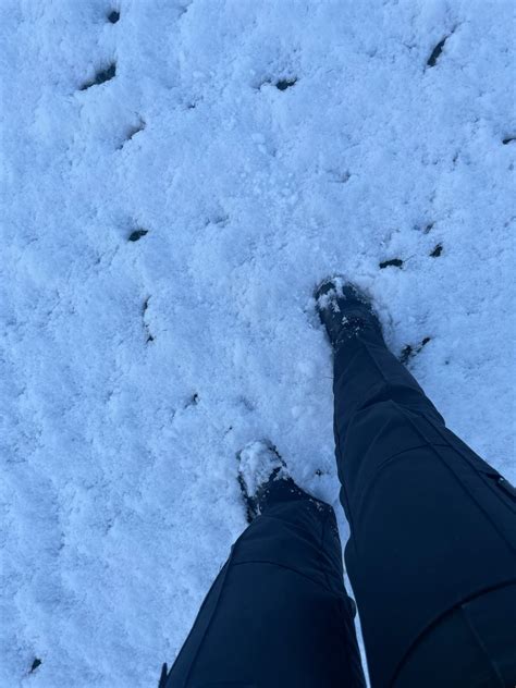 Copeland Police On Twitter We Have Snow ️🌨️⛄️ Wrapped Up Warm For