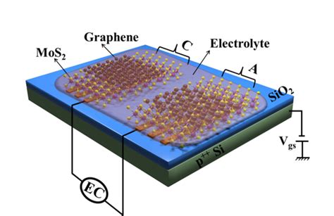 Image 1 Press Release Panw [image] Eurekalert Science News Releases