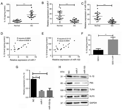 Downregulation Of MiR7 And MiR153 Is Involved In Helicobacter Pylori