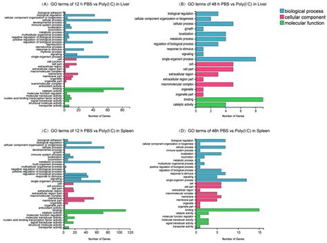 Ijms Free Full Text Comparative Transcriptomic Analyses Revealed The Effects Of Poly Ic