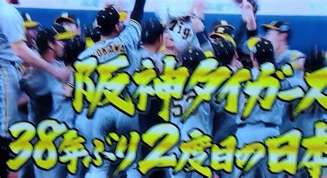 38年ぶり2度目の日本一 くっきぃのブログ