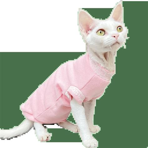 C C Strips Spring Summer Sphinx Apparel Pet Clothes Cotton Beerus Devin