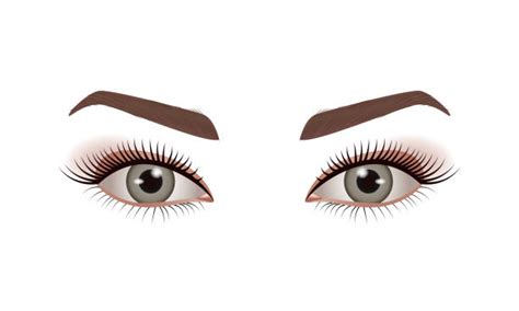 30 Almond Eye Makeup Stock Photos Pictures And Royalty Free Images Istock