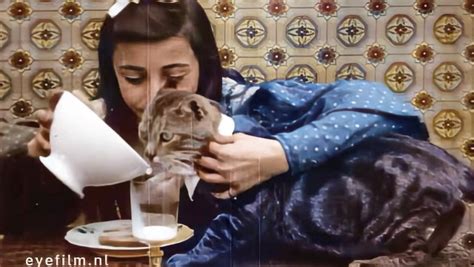 Enhanced And Colorized Version Of Pussy S Breakfast A 1905 Film About A Girl And Her Cat