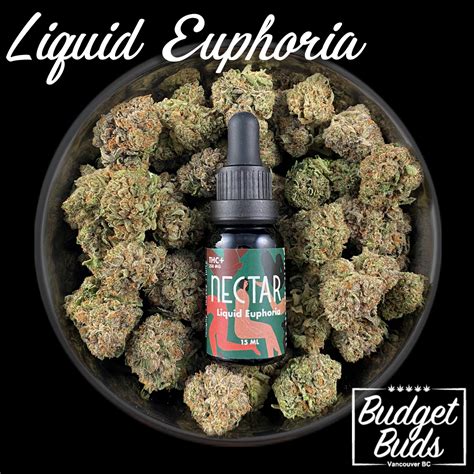 Liquid Euphoria Tincture By Nectar Ml Mg Thc Budget Buds